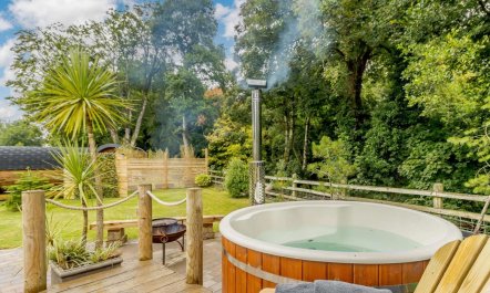 1 Bed in South Brent 3