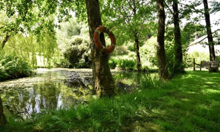 3 Bed in South Molton 2