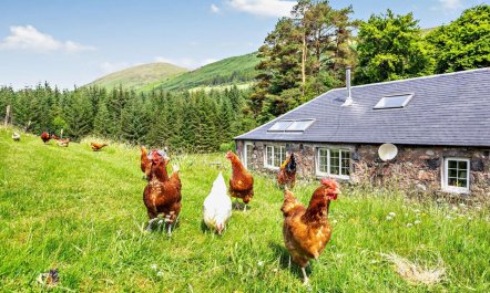 2 Bed in Fort William 2