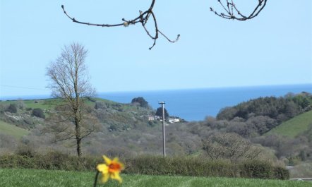 1 Bed in St. Austell 2