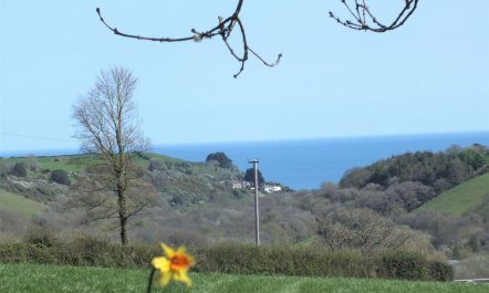 1 Bed in London Apprentice 0