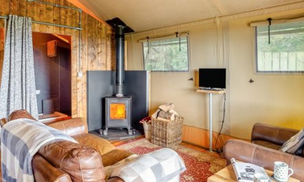 1 Bed in St. Austell 5