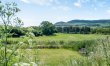 3 Bed in Bridport 3
