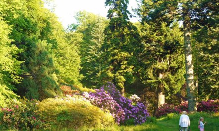 2 Bed in Birnam, Dunkeld 7