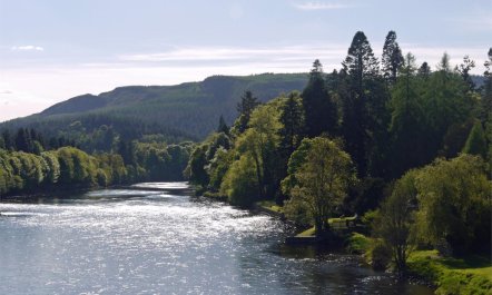 2 Bed in Birnam, Dunkeld 8