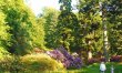 2 Bed in Birnam, Dunkeld 7