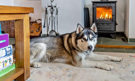 3 Bed in Keswick 2