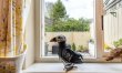 2 Bed in Narberth 6