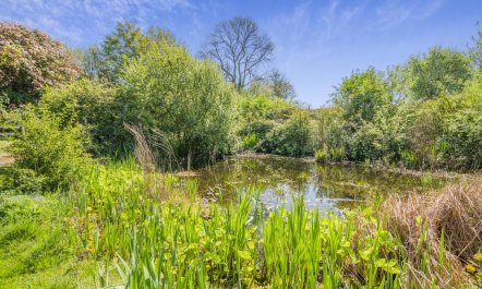 8 Bed in Bridport 2