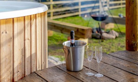 1 Bed in South Brent 2