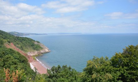 2 Bed in Torquay 9