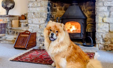 5 Bed in Crickhowell 5