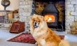 5 Bed in Crickhowell 5