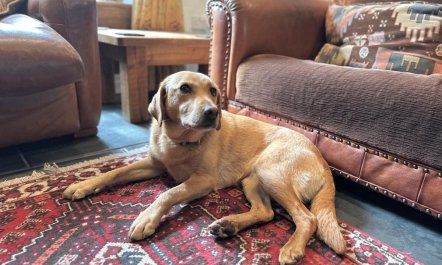 2 Bed in Park Gate 0