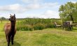 1 Bed in Aylesbury 5