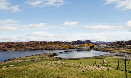 4 Bed in Scourie 2