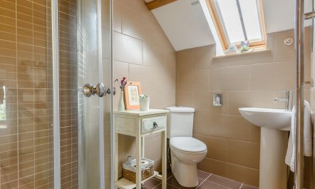 1 Bed in Llandeilo 8
