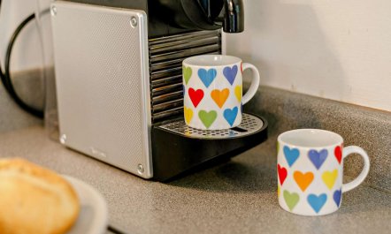 1 Bed in Tavistock 2