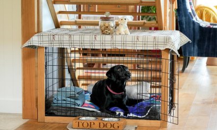 2 Bed in Helensburgh 6