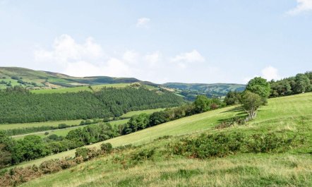 1 Bed in Machynlleth 2