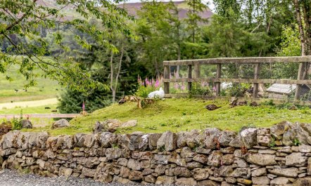1 Bed in Blairgowrie 9