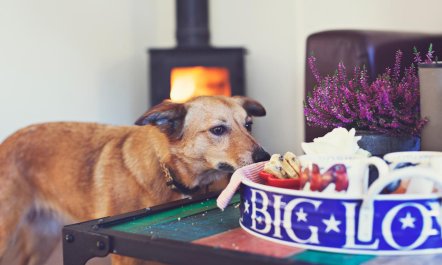 2 Bed in Crickhowell 1