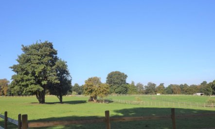 1 Bed in Beccles 3