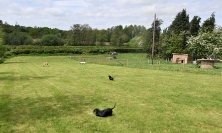 2 Bed in Stoke Prior 4