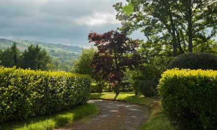1 Bed in Crickhowell 9