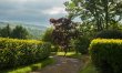1 Bed in Crickhowell 9