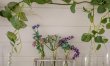 1 Bed in South Brent 7