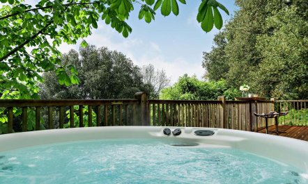 1 Bed in Barnstaple 4