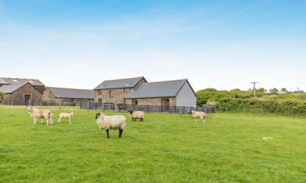 4 Bed in Bideford 4