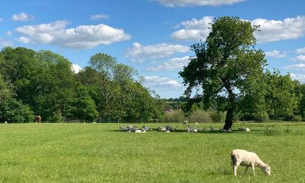 1 Bed in West Knoyle 0