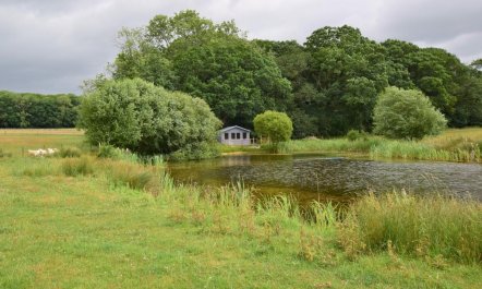 1 Bed in West Knoyle 2