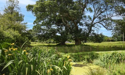 2 Bed in Launceston 2