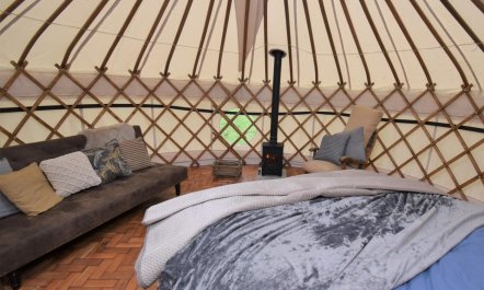 1 Bed in Llandysul 8