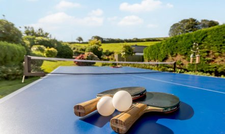 3 Bed in Barnstaple 3