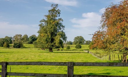 3 Bed in Richmond 7