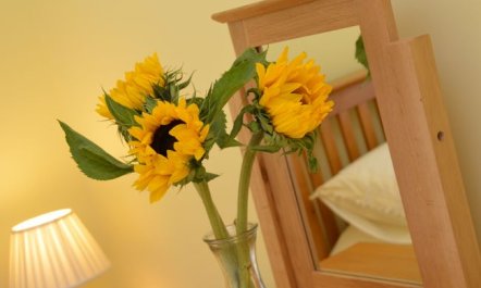 2 Bed in North Walsham 9