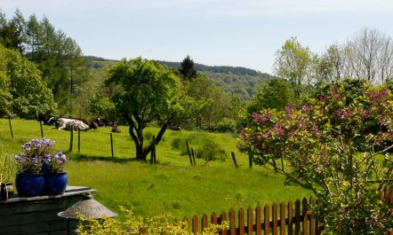 1 Bed in Hawkshead 3