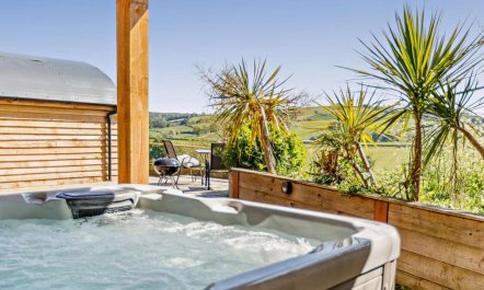 1 Bed in Cadeleigh 1