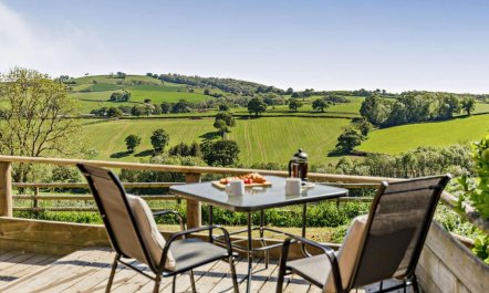 1 Bed in Cadeleigh 9