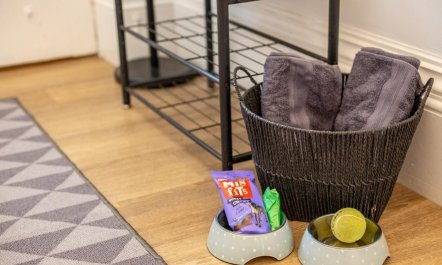 5 Bed in Holsworthy 8