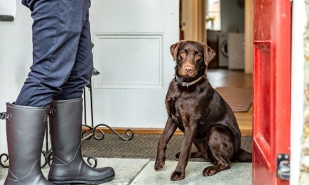 5 Bed in Holsworthy 6