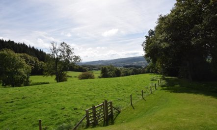 3 Bed in Presteigne 1