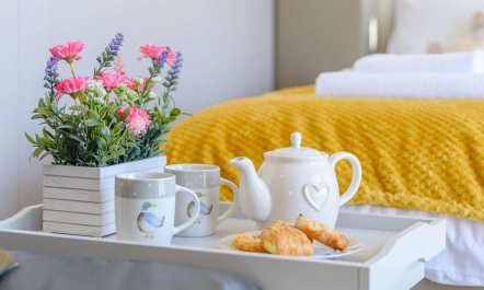 1 Bed in Beaworthy 7