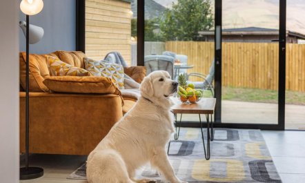 3 Bed in Keswick 3