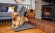 4 Bed in Bideford 6