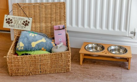 4 Bed in Torrington 5
